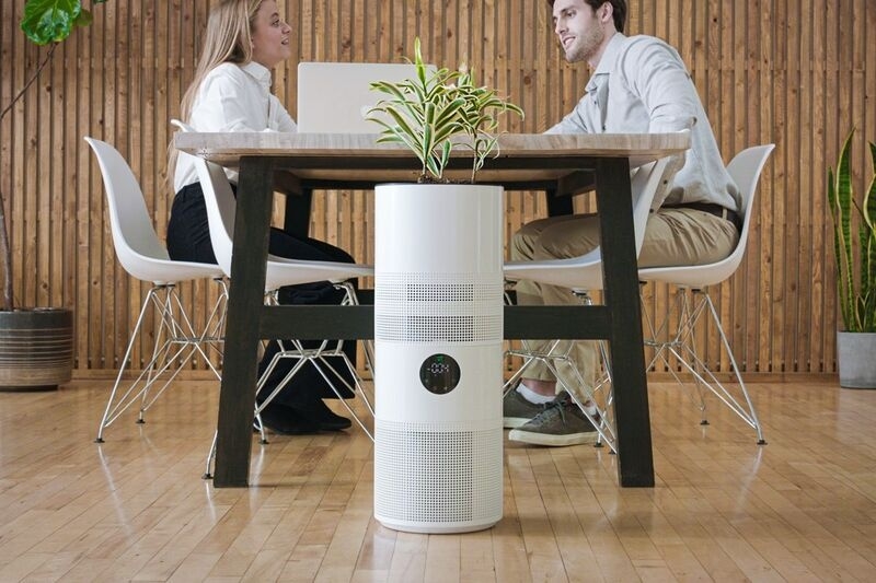 Awesome Yucca Plant Air Purifier Photo inside Plant-Integrated Air Purifiers Hybrid Air Purifier