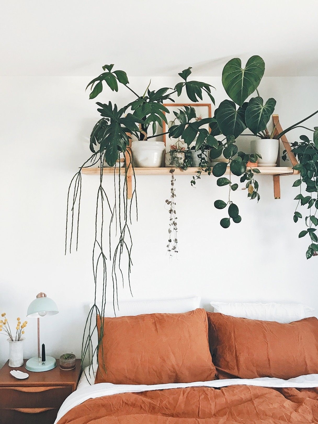 Sensational Good Plants To Have In Your Bedroom Image for How To Create A Plant Shelf That Doesn'T Get Dirt All Over Your Bedding