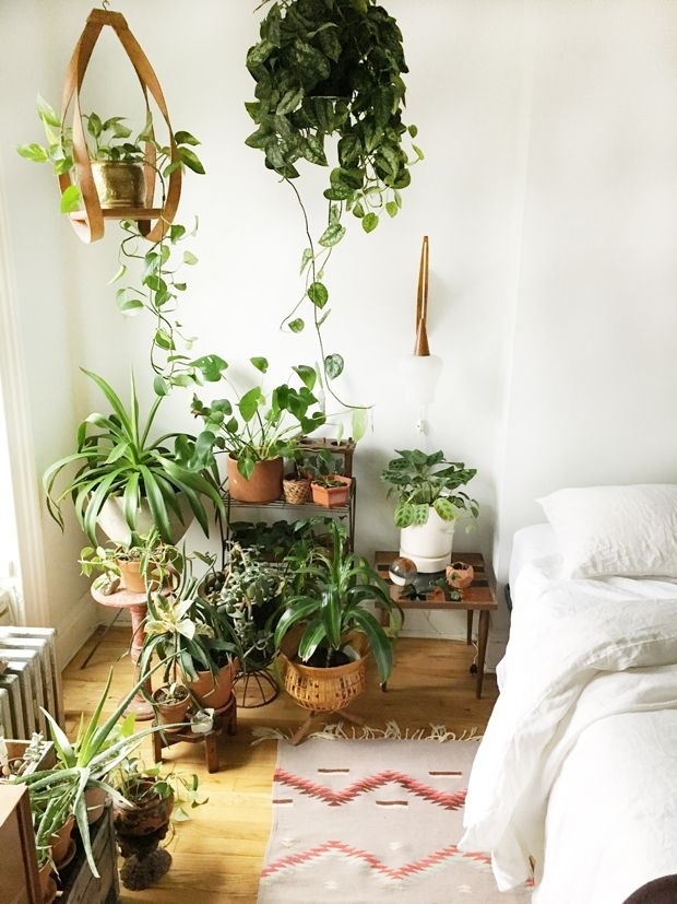 Simple Best Plants To Grow In Bedroom Photo regarding Small Bedroom Plant Decor - Walls Aren'T Just For Artwork