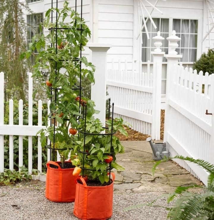 Top Growing Tomatoes In Grow Bags Outside Photo intended for Discover Grow Bags An Alternative Plant Container | Growing Tomatoes