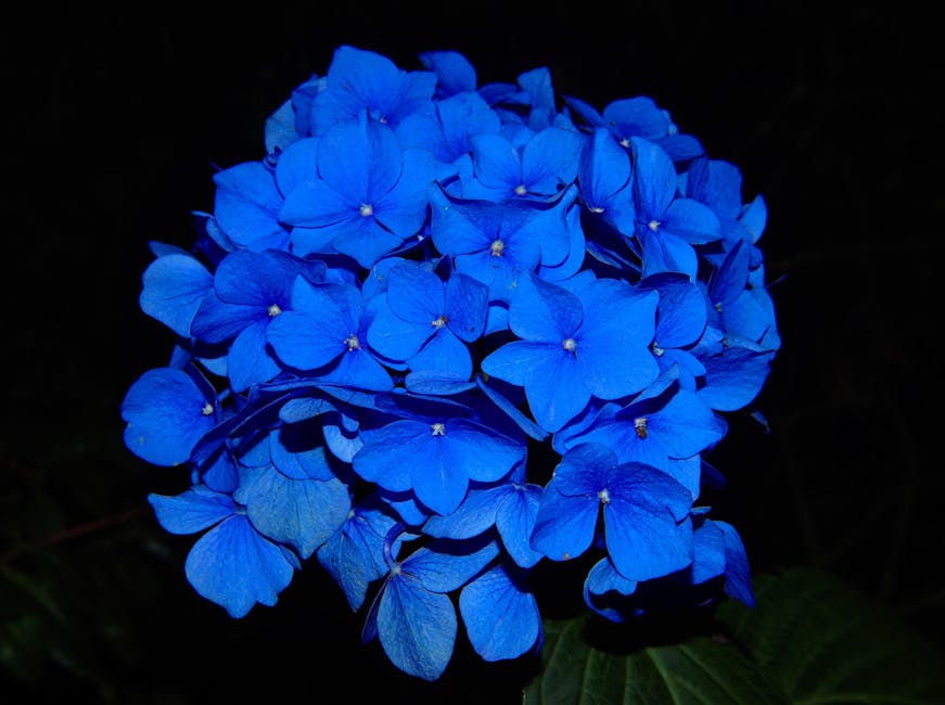 **Timeless Beauty: A Guide To Perennial Front Yard Landscaping**